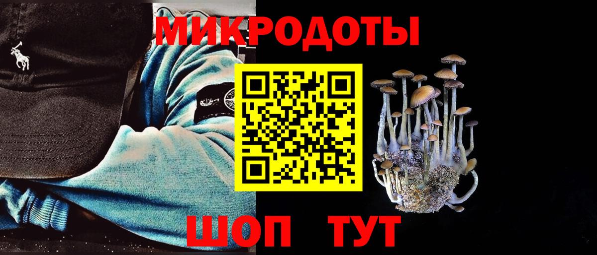 Галлюциногенные грибы мицелий Приморско-Ахтарск